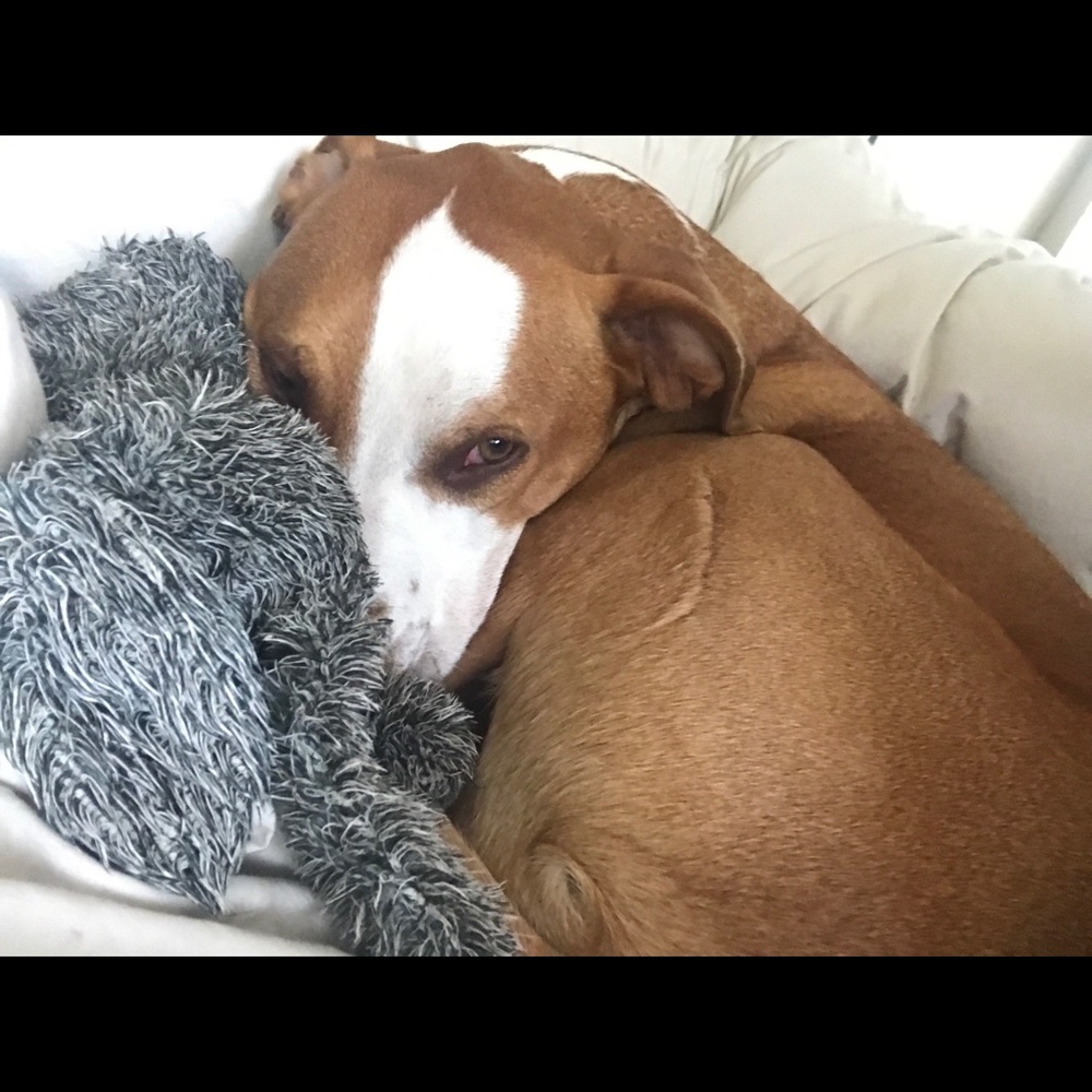 Meet your Posher, Gina